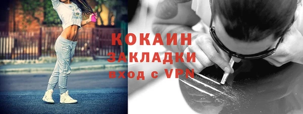 PSILOCYBIN Алексеевка