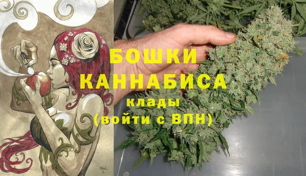 PSILOCYBIN Алексеевка