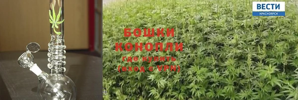 PSILOCYBIN Алексеевка