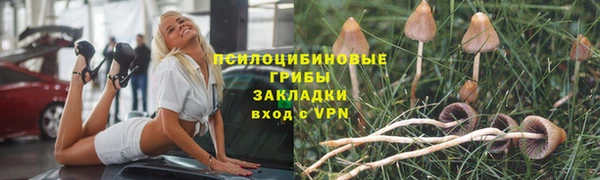 PSILOCYBIN Алексеевка